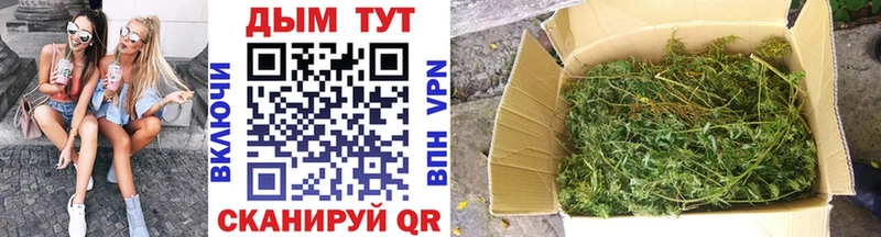 Каннабис гибрид  Лесной 
